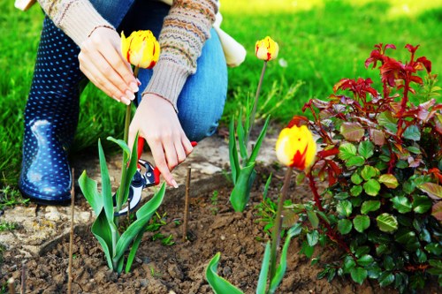 Sustainable irrigation systems implemented by Gardener Kenton